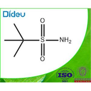 TERT-BUTYLSULFONAMIDE 