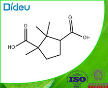 1,2,2-trimethylcyclopentane-1,3-dicarboxylic acid 