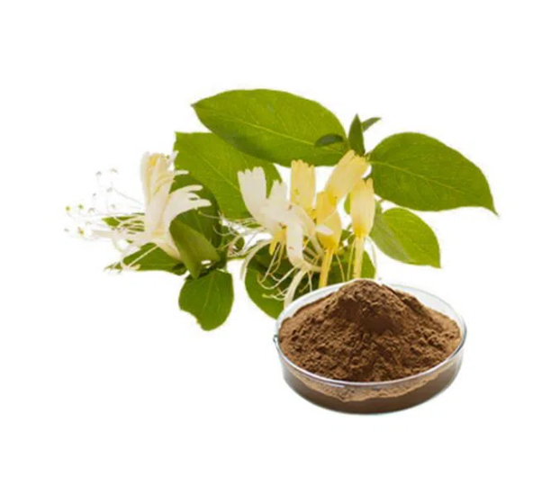 Honeysuckle extract