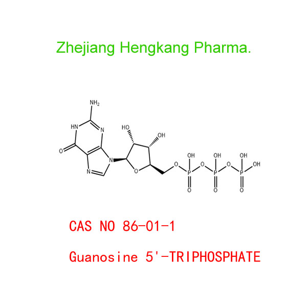 Guanosine 5'-TRIPHOSPHATE