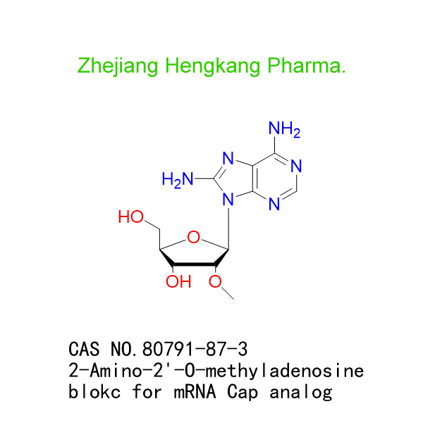 2-Amino-2'-O-methyladenosine