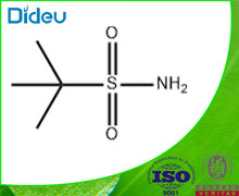 TERT-BUTYLSULFONAMIDE 