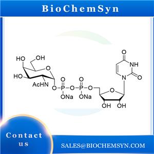 UDP-GlcNAc; UDP-N-acetylglucosamine; Uridine 5‘-diphospho-D-N-acetylglucosamine sodium salt