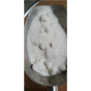 Procaine hydrochloride 