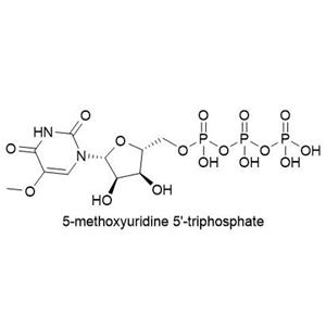 5-OMe-UTP, 0.1M solution (Li or Na salt)