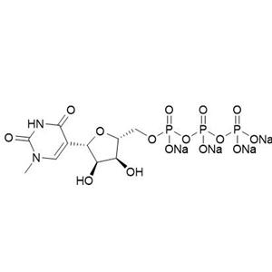 N1-Me-pUTP, 0.1M solution (Li or Na salt)