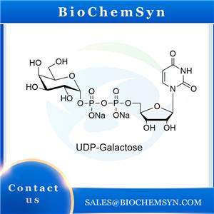 UDP-Galactose