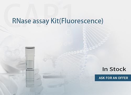 RNase assay kit （Fluoresscence）