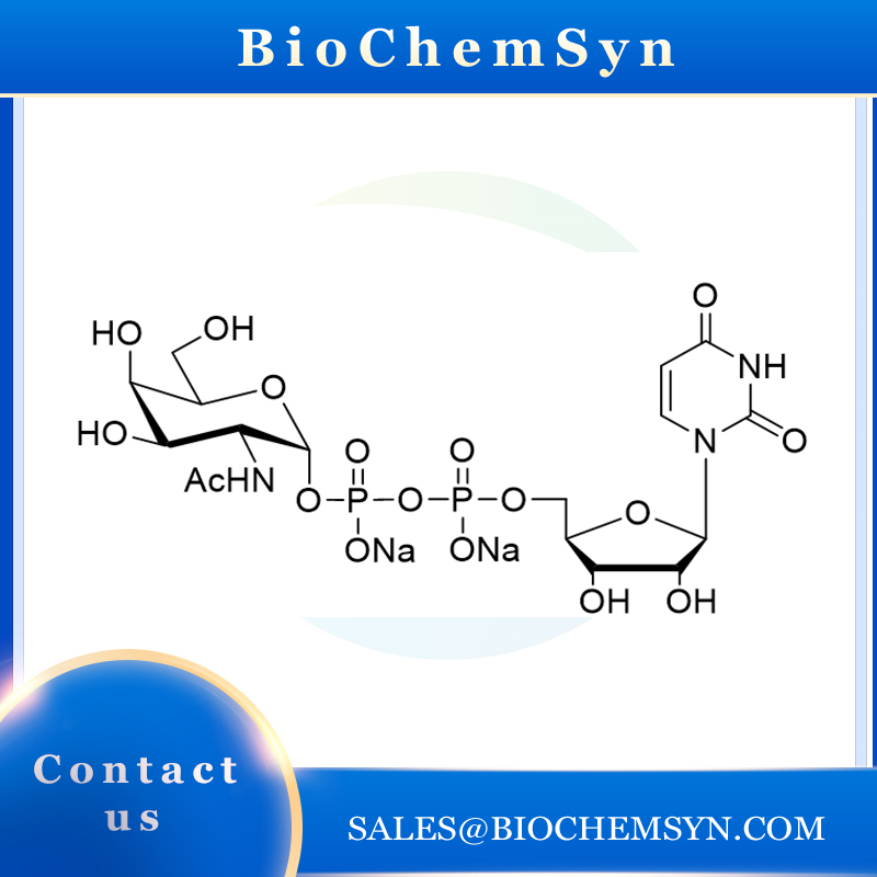 UDP-GlcNAc; UDP-N-acetylglucosamine; Uridine 5‘-diphospho-D-N-acetylglucosamine sodium salt