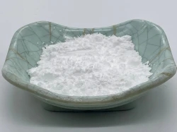 Chloroquine diphosphate