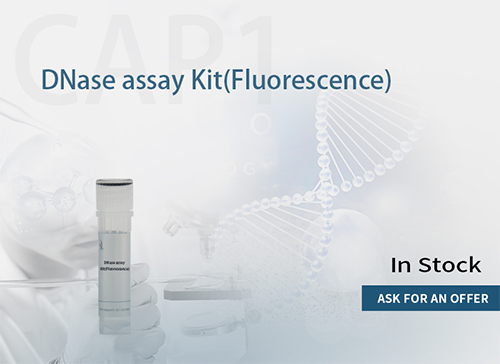 DNase assay kit 