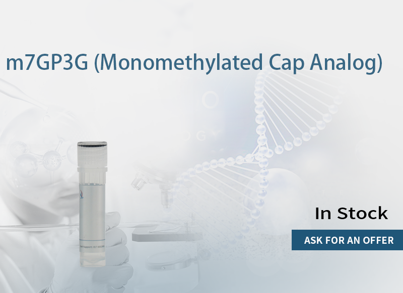 m7GP3G (Monomethylated Cap Analog)