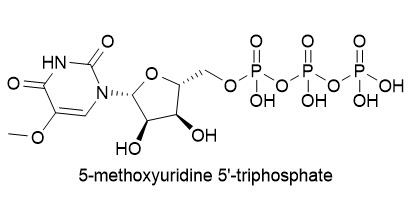 5-OMe-UTP, 0.1M solution (Li or Na salt)