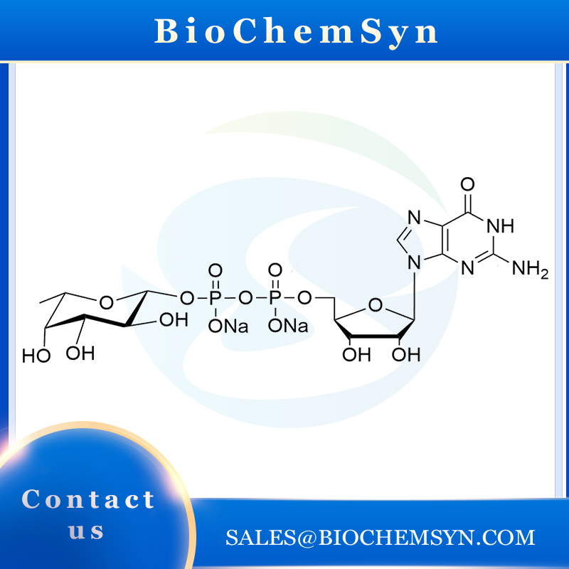 GDP-Fucose; Guanosine 5'-diphospho-b-L-fucose disodium salt; GDP-L-Fucose