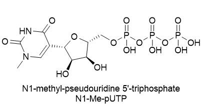 N1-Me-pUTP, 0.1M solution (Li or Na salt)