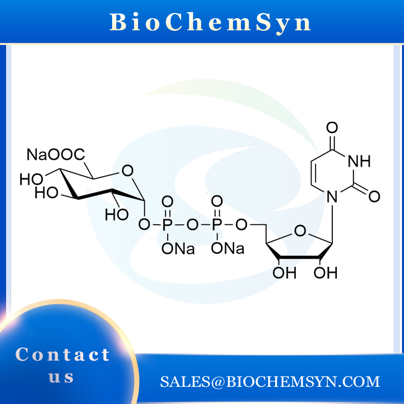 UDP-GlcA; UDP-glucuronic acid; Uridine 5'-diphospho-glucuronic acid trisodium salt