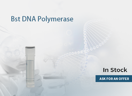 Bst DNA Polymerase(8U/μL)