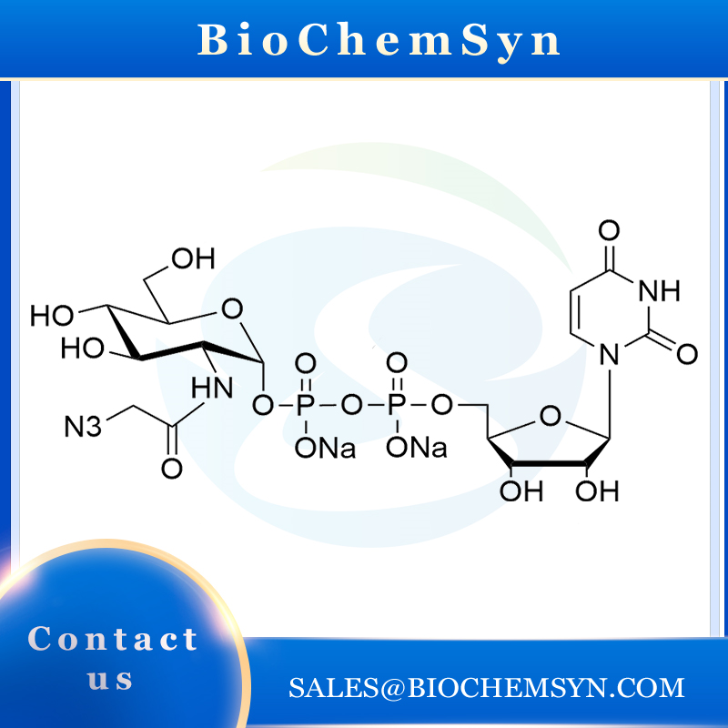 UDP-GlcNAz ; Uridine 5’-diphopho-N-acetylazidoglucosamine disodium salt           