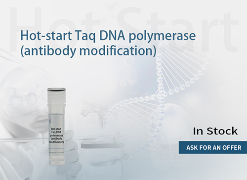 Hot Start Taq DNA Polymerase (Antibody modified,5U/uL)