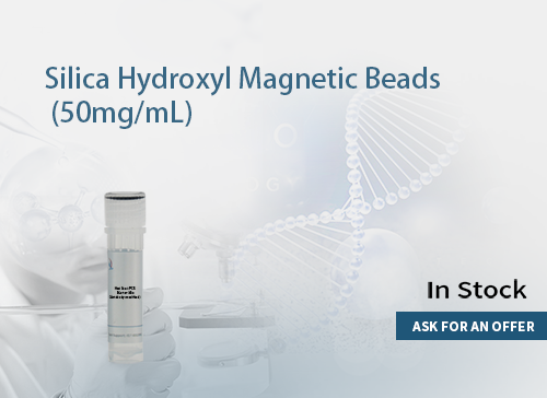 Silica Hydroxyl Magnetic Beads 