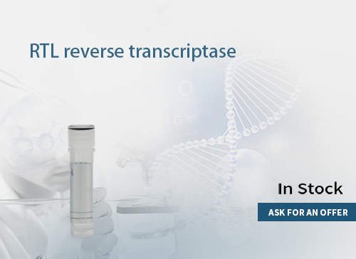 RTL reverse transcriptase （15U/μL）