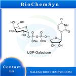 UDP-Galactose