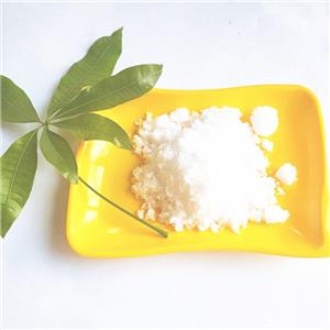 Sebacic Acid Disodium Salt 