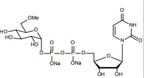 UDP-6-Methyl-6-deoxy-D-Glc.2Na