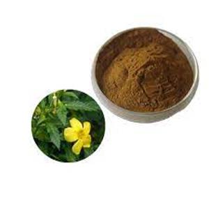 Damiana Leaf Extract