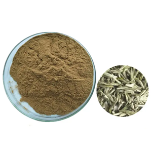 Bai Mudan Tea Extract