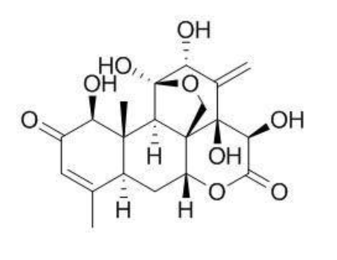 Eurycomanone