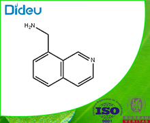 C-ISOQUINOLIN-8-YL-METHYLAMINE 