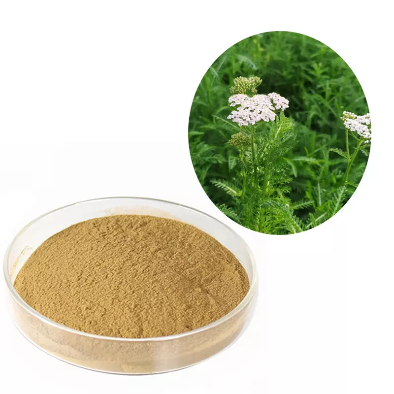 Achillea Millefolium Extract Powder