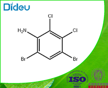 4,6-DIBROMO-2,3-DICHLOROANILINE 