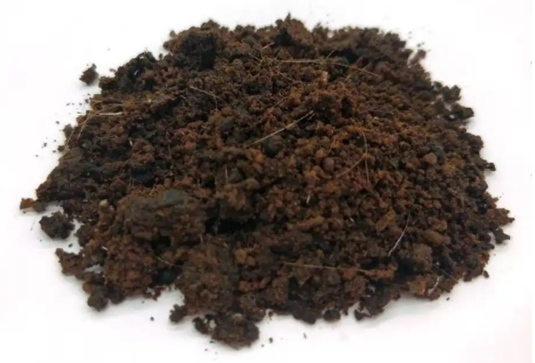 Adenosma Caeruleum Extract