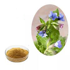 Lungwort Extract