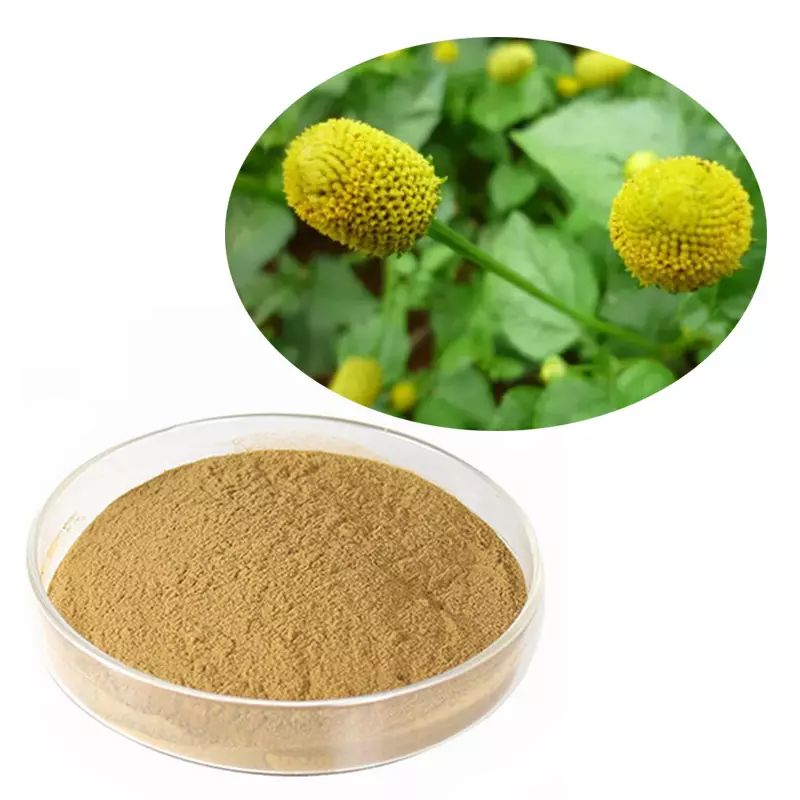 Acmella Oleracea Extract