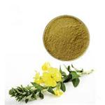 Evening Primrose Extract