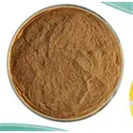 Birch Leaf Extract