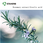 Rosemary Extract powder Carnosic acid powder