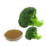 Broccoli Extract