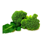 Broccoli Extract