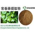 Ivy leaf extract