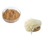 Enoki Mushroom Extract