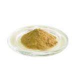 Ferula Asafoetida Extract