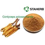 Cordyceps polysaccharide