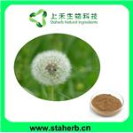 Dandelion Extract