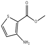 Methyl 3-amino-2-thiophene carboxylate