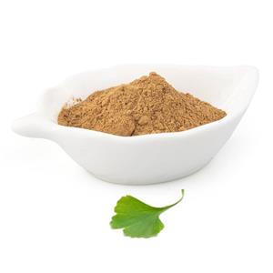 Ginkgo biloba extract