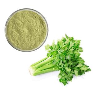 Celery powder